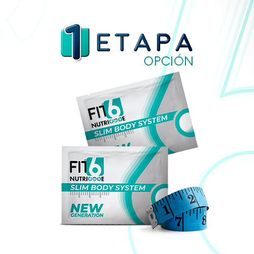 FIT6 – New Generation – Etapa 1 (Opción)