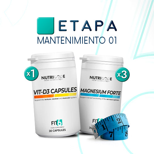 FIT6 – New Generation – Mantenimiento 1