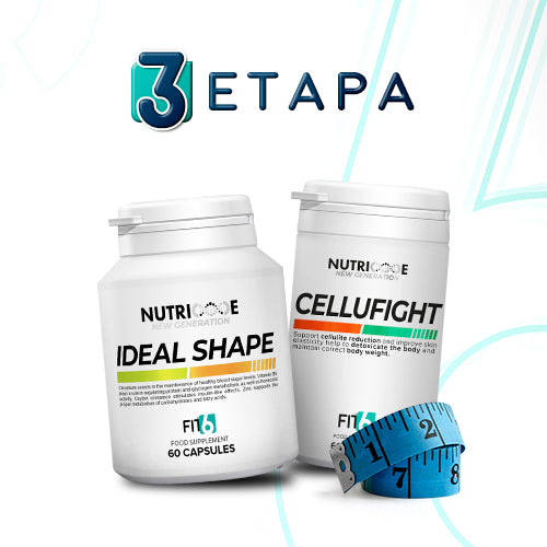 FIT6 – New Generation – Etapa 3