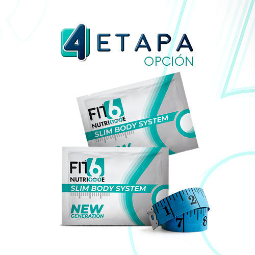 FIT6 – New Generation – Etapa 4 (Opción)