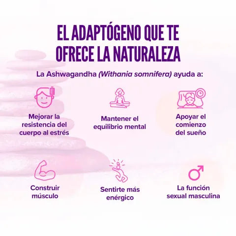 Extracto de ashwagandha (10:1) 400mg